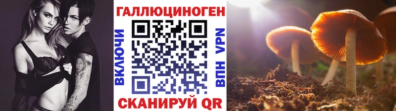 Псилоцибиновые грибы GOLDEN TEACHER Никольск