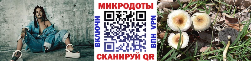 Галлюциногенные грибы MAGIC MUSHROOMS Никольск