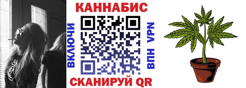 дарнет шоп  omg маркетплейс  Конопля марихуана  Никольск 